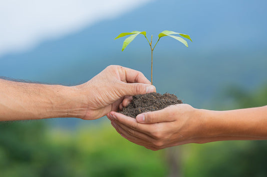 Planting Trees with Tudaloo: Promoting Environmental Impact and Sustainability - Tudaloo